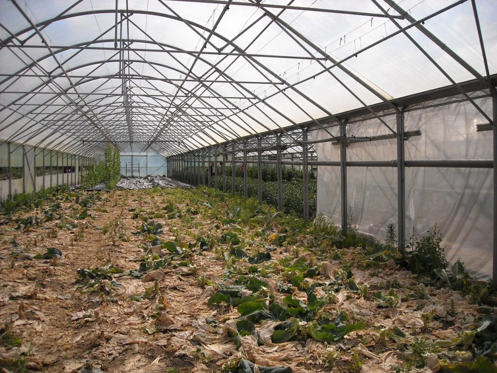 Comment choisir la serre de jardin idéale selon vos besoins 